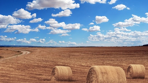 Farmers