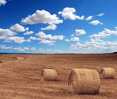 Farmers
