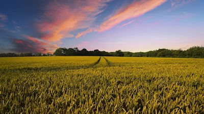 Farming