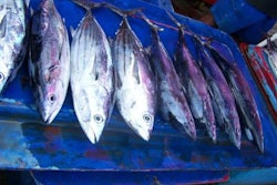 Oes Skipjacktuna Market 400 1