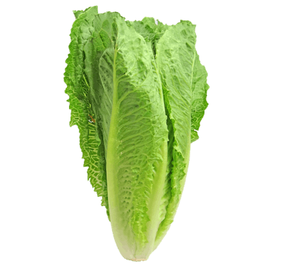 Romaine