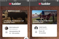 Tudder