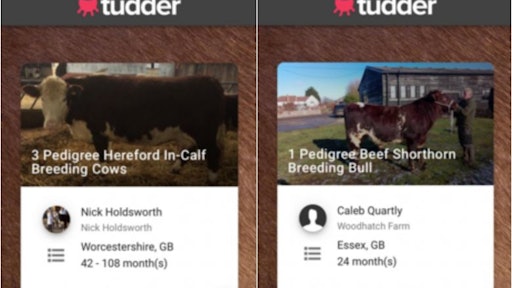 Tudder