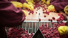 IIot has the potential to boost ROI for food manufacturers, while also giving them a better understanding of consumers.