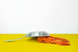 Close Up Cooking Cuisine 940301