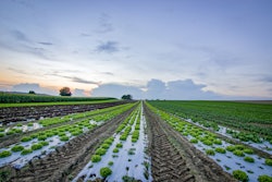 Agriculture Clouds Countryside 1443867