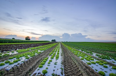 Agriculture Clouds Countryside 1443867