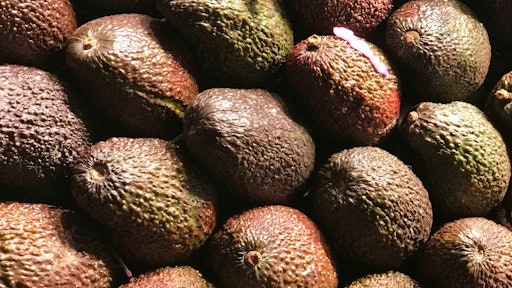 Avocado Close Up Colors 849683