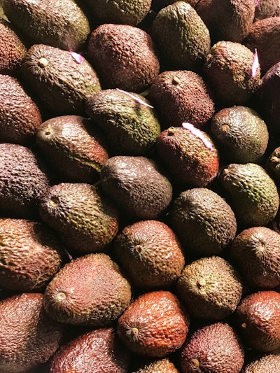Avocado Close Up Colors 849683
