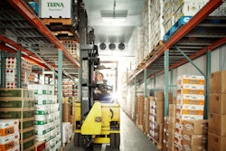 Dmp Veritable Vegetables Storage W7 Rgb