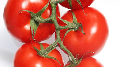 Cherry Tomatoes Food Freshness 48802