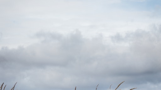 Close Up Clouds Corn 672034