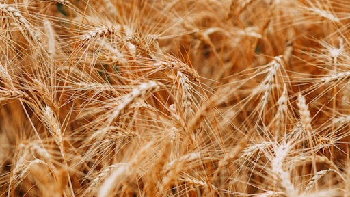 Colors Cropland Crops 1204998