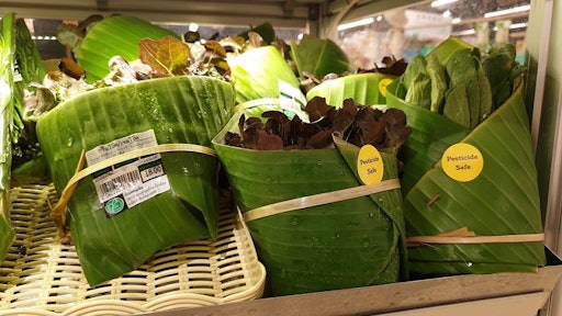 Banana Leaves