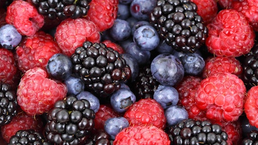 Berries Blackberries Blueberries 87818