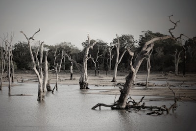 Black And White Dawn Daylight 709542