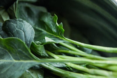 Close Up Collard Greens Color 750952