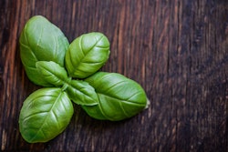 Basil Fresh Green 1087902