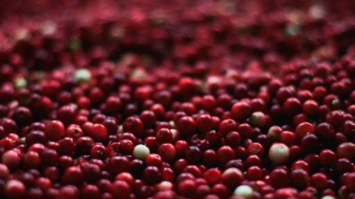 Berries Close Up Cranberries 139917
