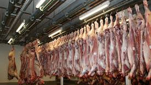Pigs