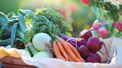 Beets Carrots Close Up 533360