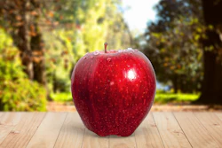 Apple Blur Bright 588587
