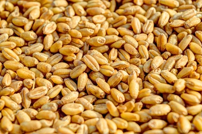 Close Up Crop Grains 54084