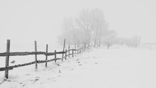 Fence Snow Trees 65911