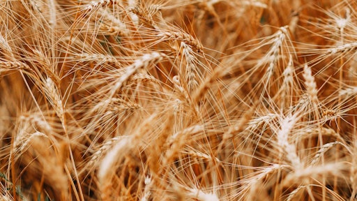 Colors Cropland Crops 1204998