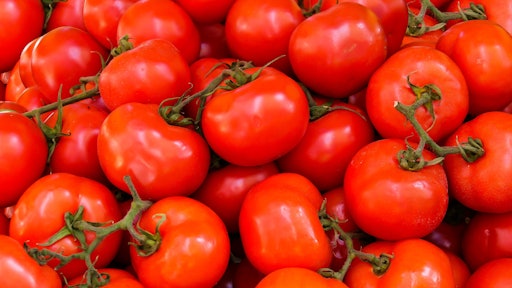 Abundance Agriculture Fresh Healthy 533280