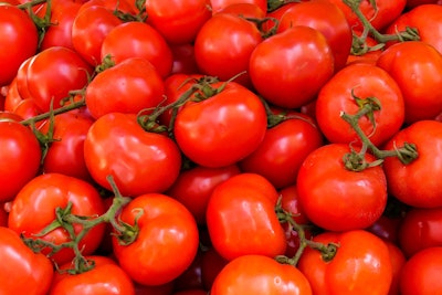 Abundance Agriculture Fresh Healthy 533280