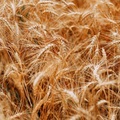 Colors Cropland Crops 1204998