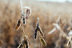 Kelly Sikkema Ynt Ee Red0 Sy Unsplash