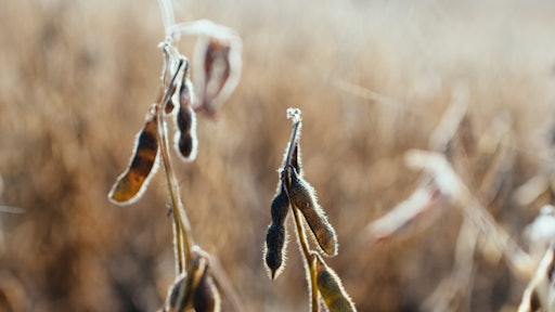 Kelly Sikkema Ynt Ee Red0 Sy Unsplash