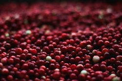 Food Healthy Red Fruits 139917