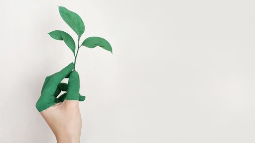 Person S Left Hand Holding Green Leaf Plant 886521