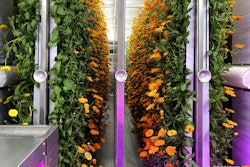 Freight Farms Calendula Greenhouse
