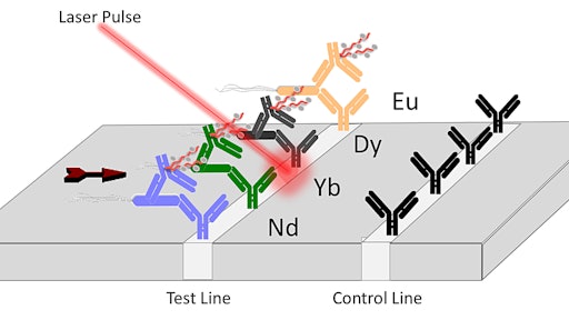 Purdue innovators have developed a lanthanide-based assay coupled with a laser that can be used to detect toxins and pathogenic E. coli in food samples, water and a variety of industrial materials. (Image provided)