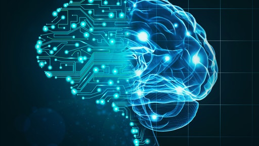 Earlier this year, LLamasoft released its new llama.ai platform, a SaaS, AI-powered enterprise-scale decision platform that generates insights, develops predictions and provides smart answers to business users across a company.