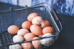 Eggs In The Metal Basket 6420