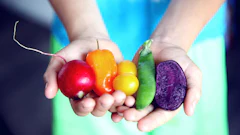 Tilt Shift Lens Photography Of Five Assorted Vegetables 1196516