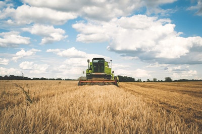 Green Tractor 175389