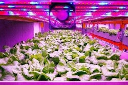 Id Tech Ex Vertical Farming