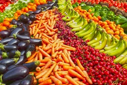 Abundance Agriculture Bananas Batch 264537