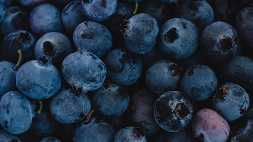 Close Up Photo Of Blueberries 2254063
