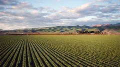 Photo Of Green Field Near Mountains 974314