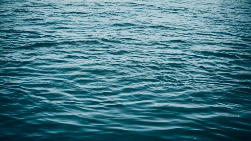 Stock Wastewater