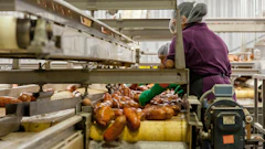 Woman Cleaning Sweet Potatoes 2889093