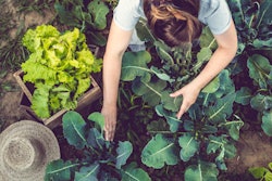 Getty Images 914906098 Gardening