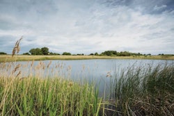 Cargill also sets targets to reduce 5 million kg of pollutants, improve access to safe drinking water and implement Water Stewardship program at facilities